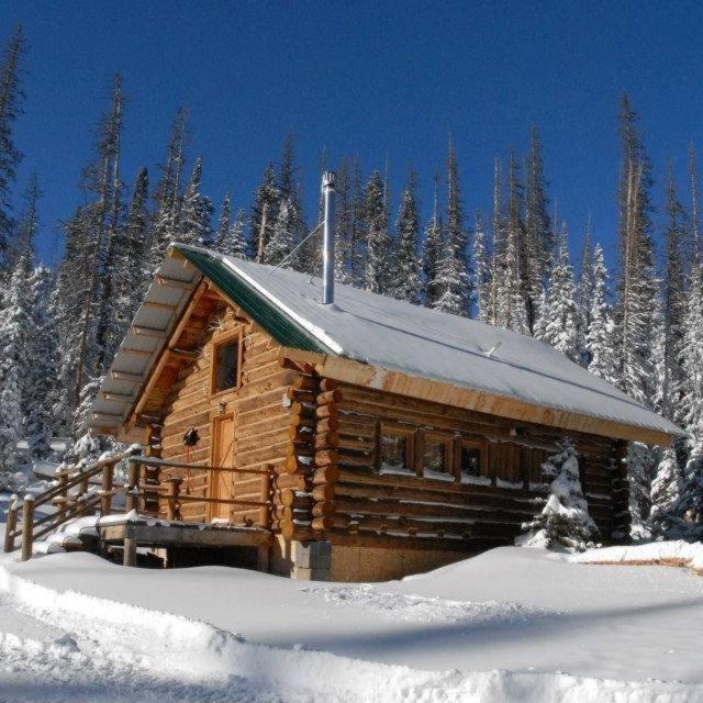 Snowy Mountain Lodge Centennial Bagian luar foto